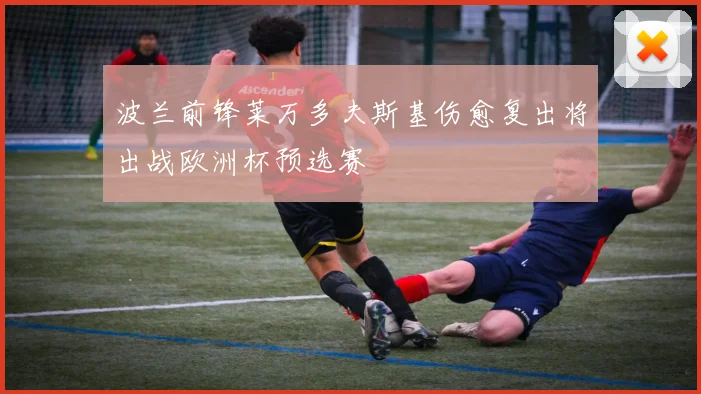 波兰前锋莱万多夫斯基伤愈复出将出战欧洲杯预选赛