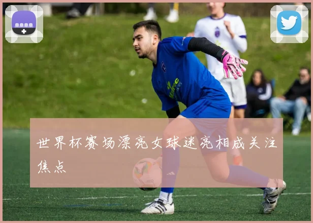 世界杯赛场漂亮女球迷亮相成关注焦点