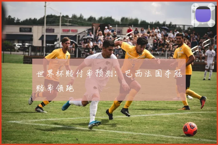 世界杯赔付率预测：巴西法国夺冠赔率领跑